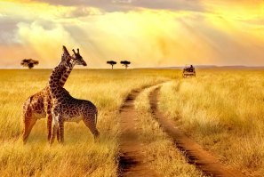 1 ROMANTICO SUDAFRICA